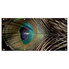 Peacock Banner And Sign 8  X 4  by StarvingArtisan