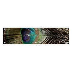 Peacock Banner And Sign 4  X 1  by StarvingArtisan
