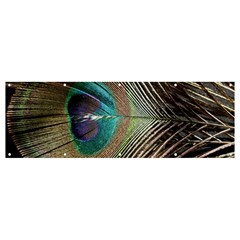 Peacock Banner And Sign 12  X 4  by StarvingArtisan