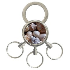 Beautiful Seashells  3-ring Key Chain by StarvingArtisan