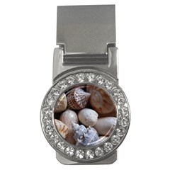 Beautiful Seashells  Money Clips (cz)  by StarvingArtisan