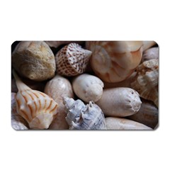 Beautiful Seashells  Magnet (rectangular) by StarvingArtisan