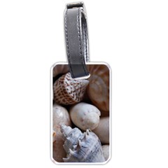 Beautiful Seashells  Luggage Tag (one Side) by StarvingArtisan