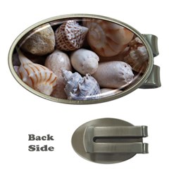 Beautiful Seashells  Money Clips (oval)  by StarvingArtisan