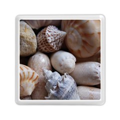 Beautiful Seashells  Memory Card Reader (square) by StarvingArtisan