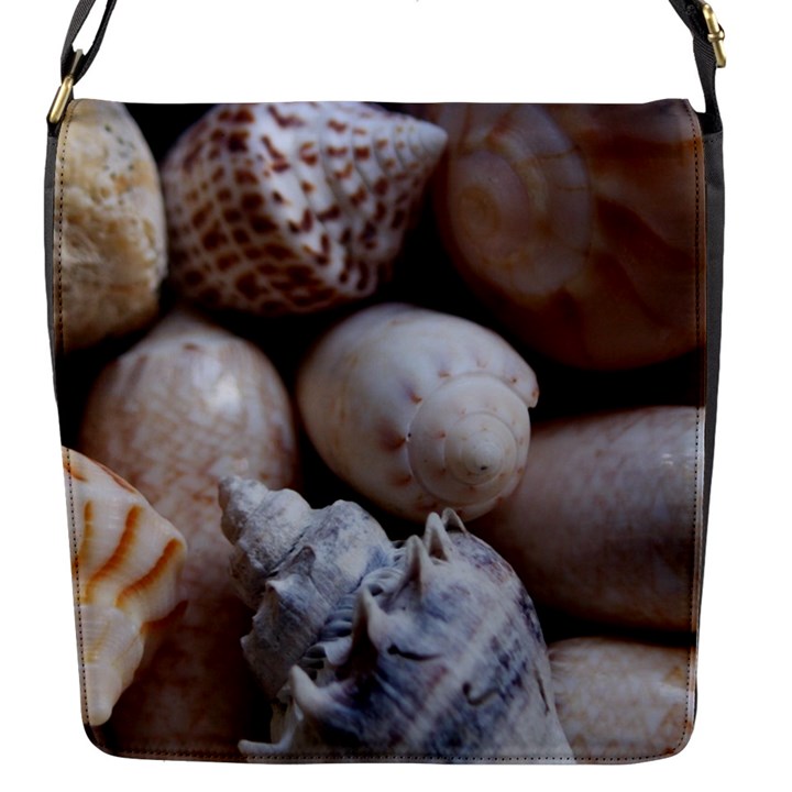 Beautiful Seashells  Flap Closure Messenger Bag (S)