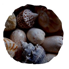 Beautiful Seashells  Large 18  Premium Flano Round Cushions by StarvingArtisan