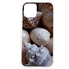 Beautiful Seashells  Iphone 12 Pro Max Tpu Uv Print Case by StarvingArtisan