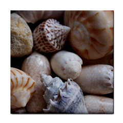 Beautiful Seashells  Face Towel by StarvingArtisan