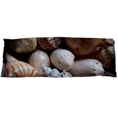 Beautiful Seashells  Body Pillow Case Dakimakura (two Sides) by StarvingArtisan