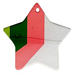 Green Pink Interior Paint Star Ornament (two Sides) by artworkshop