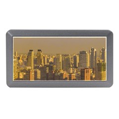 Buenos Aires City Aerial View002 Memory Card Reader (mini) by dflcprintsclothing