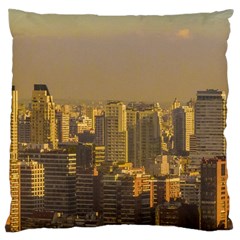 Buenos Aires City Aerial View002 Large Cushion Case (two Sides) by dflcprintsclothing