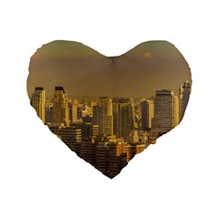 Buenos Aires City Aerial View002 Standard 16  Premium Heart Shape Cushions by dflcprintsclothing
