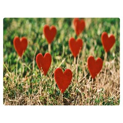 Valentine Day Heart Pattern Love One Side Premium Plush Fleece Blanket (Extra Small)