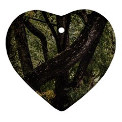 Botanical Motif Trees Detail Photography Ornament (heart) by dflcprintsclothing