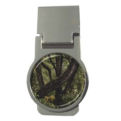 Botanical Motif Trees Detail Photography Money Clips (round)  by dflcprintsclothing