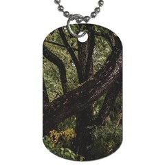 Botanical Motif Trees Detail Photography Dog Tag (one Side) by dflcprintsclothing