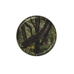 Botanical Motif Trees Detail Photography Hat Clip Ball Marker (4 Pack) by dflcprintsclothing