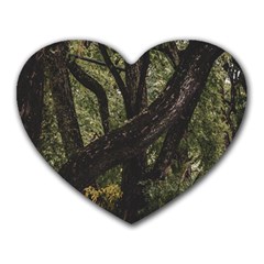 Botanical Motif Trees Detail Photography Heart Mousepad by dflcprintsclothing