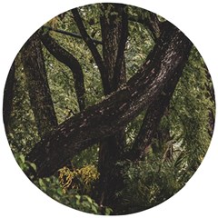 Botanical Motif Trees Detail Photography Wooden Puzzle Round by dflcprintsclothing