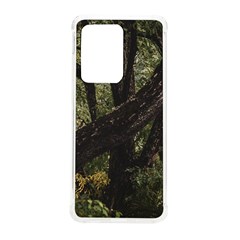 Botanical Motif Trees Detail Photography Samsung Galaxy S20 Ultra 6 9 Inch Tpu Uv Case by dflcprintsclothing