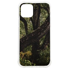 Botanical Motif Trees Detail Photography Iphone 12/12 Pro Tpu Uv Print Case by dflcprintsclothing