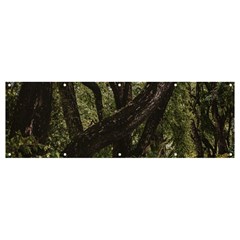 Botanical Motif Trees Detail Photography Banner And Sign 12  X 4  by dflcprintsclothing