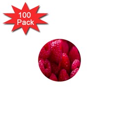 Raspberries 1  Mini Magnets (100 Pack)  by artworkshop