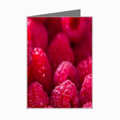 Raspberries Mini Greeting Card by artworkshop