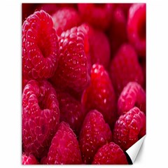 Raspberries Canvas 12  X 16  by artworkshop