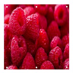 Raspberries Banner And Sign 4  X 4  by artworkshop