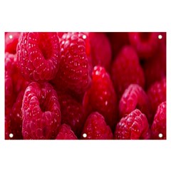 Raspberries Banner And Sign 6  X 4  by artworkshop