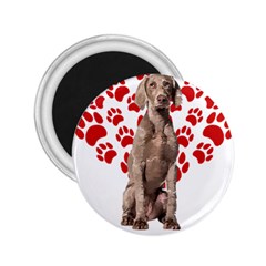 Weimaraner Gifts T- Shirt Cool Weimaraner Valentine Heart Paw Weimaraner Dog Lover Valentine Costume 2.25  Magnets