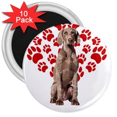 Weimaraner Gifts T- Shirt Cool Weimaraner Valentine Heart Paw Weimaraner Dog Lover Valentine Costume 3  Magnets (10 Pack)  by maxcute