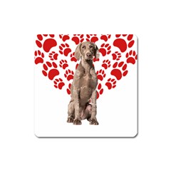 Weimaraner Gifts T- Shirt Cool Weimaraner Valentine Heart Paw Weimaraner Dog Lover Valentine Costume Square Magnet