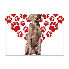 Weimaraner Gifts T- Shirt Cool Weimaraner Valentine Heart Paw Weimaraner Dog Lover Valentine Costume Sticker A4 (10 pack)