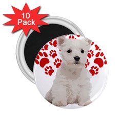 West Highland White Terrier Gift T- Shirt Cute West Highland White Terrier Valentine Heart Paw West 2 25  Magnets (10 Pack)  by maxcute