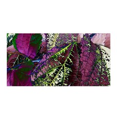 Leaves 21 Satin Wrap 35  X 70  by DinkovaArt