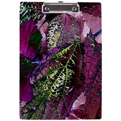 Leaves 21 A4 Acrylic Clipboard