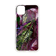 Leaves 21 Iphone 11 Tpu Uv Print Case by DinkovaArt