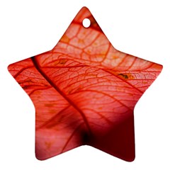 Leaf Copper Leaf Plant Nature Ornament (star)