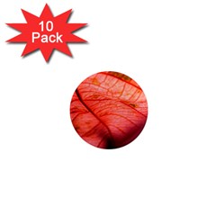 Leaf Copper Leaf Plant Nature 1  Mini Magnet (10 Pack) 