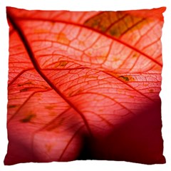 Leaf Copper Leaf Plant Nature Large Cushion Case (two Sides)