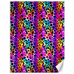 Rainbow Leopard Canvas 36  X 48 