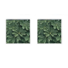 Leaves Closeup Background Photo1 Cufflinks (square) by dflcprintsclothing