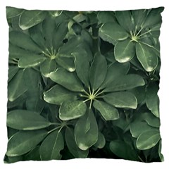 Leaves Closeup Background Photo1 Large Cushion Case (one Side) by dflcprintsclothing