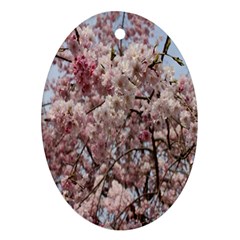 Almond Tree Flower Oval Ornament (two Sides) by artworkshop