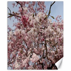 Almond Tree Flower Canvas 16  X 20 