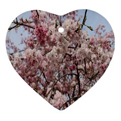 Almond Tree Flower Heart Ornament (two Sides) by artworkshop